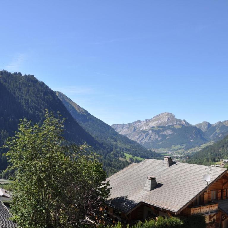 Appartement lumineux 2 chambres, proche télécabine, centre-ville Châtel - FR-1-693-31 - Appartement - 3