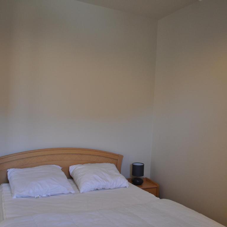 Appartement lumineux 2 chambres, proche télécabine, centre-ville Châtel - FR-1-693-31 - Appartement - 6