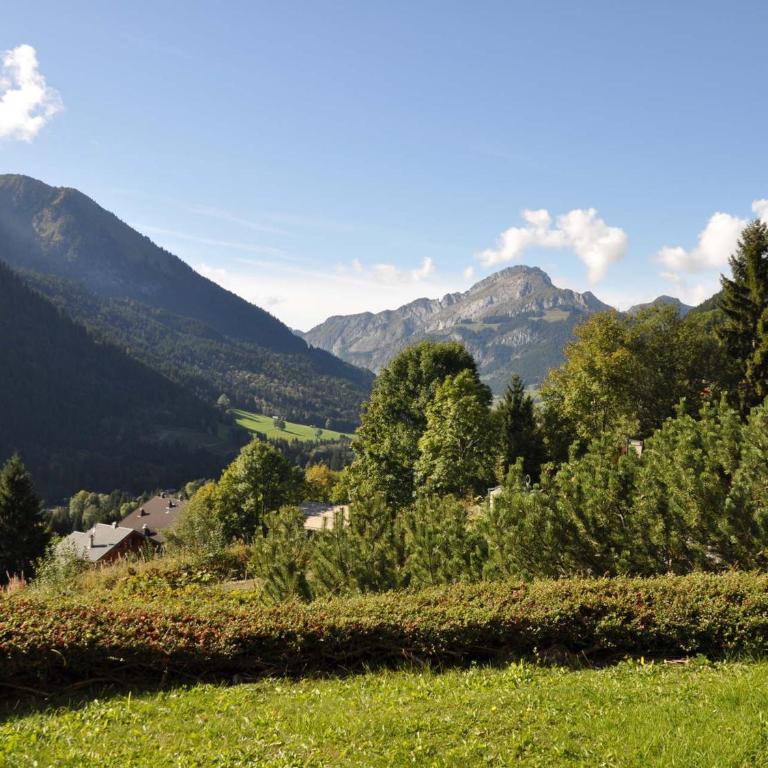 Spacieux appartement à Châtel avec terrasse ensoleillée - FR-1-693-22 - Apartamento - 7
