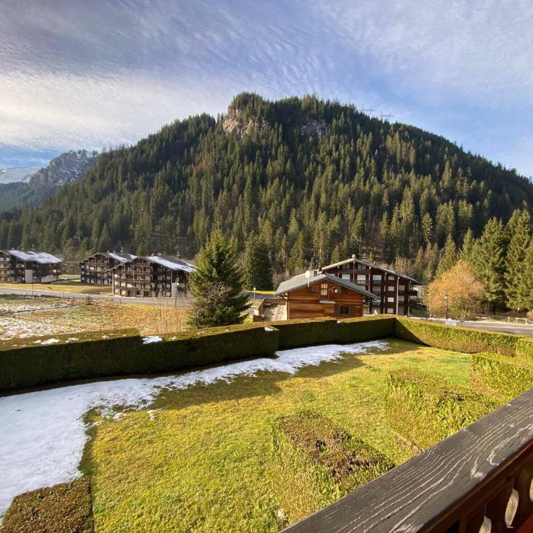 Appartement calme à Châtel avec parking privé, proche centre - FR-1-693-53 - Appartement - 4