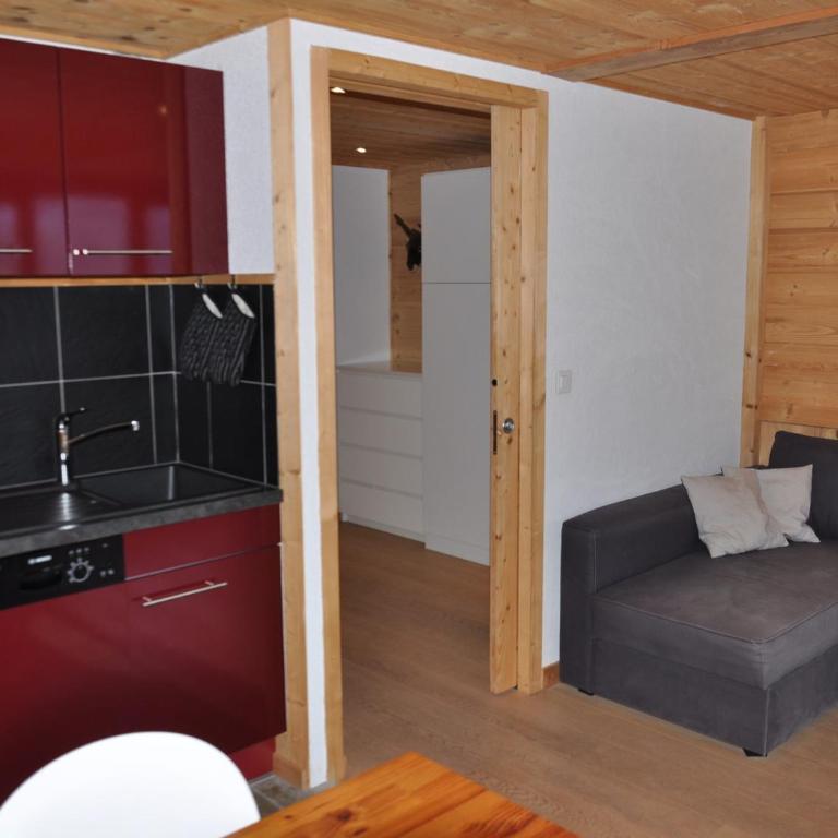 Studio charmant à Châtel, près du centre, parking inclus - FR-1-693-79 - Studio - 4
