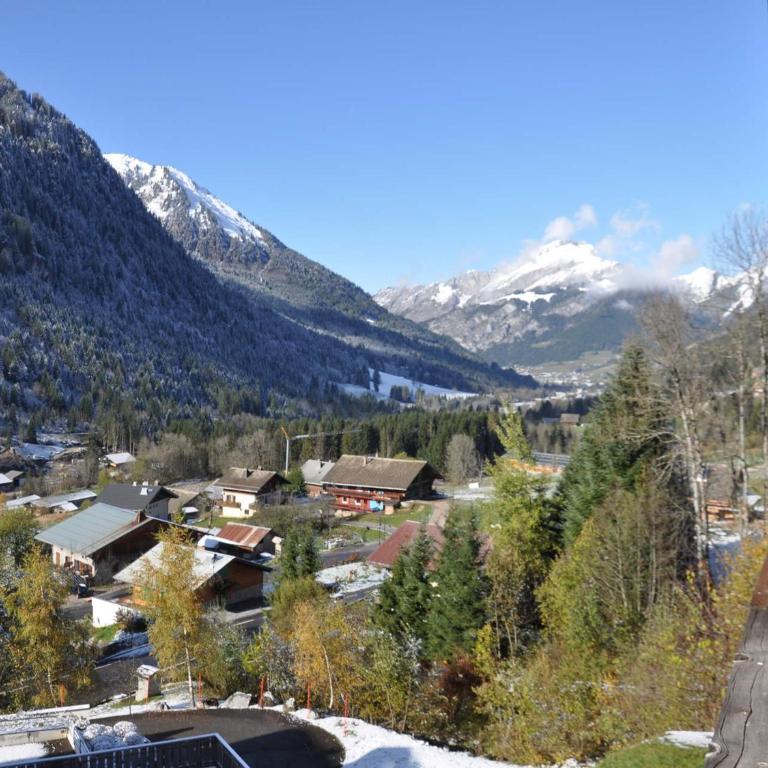 Studio charmant à Châtel, près du centre, parking inclus - FR-1-693-79 - Studio - 7