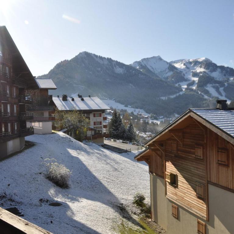 Studio charmant à Châtel, près du centre, parking inclus - FR-1-693-79 - Studio - 8