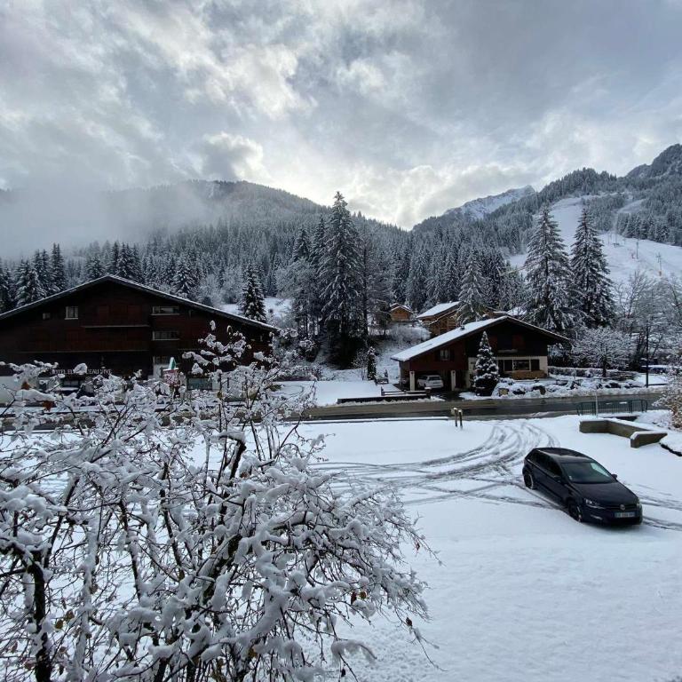 Studio cosy avec balcon et WIFI proche des pistes du Linga - FR-1-693-82 - Studio - 10