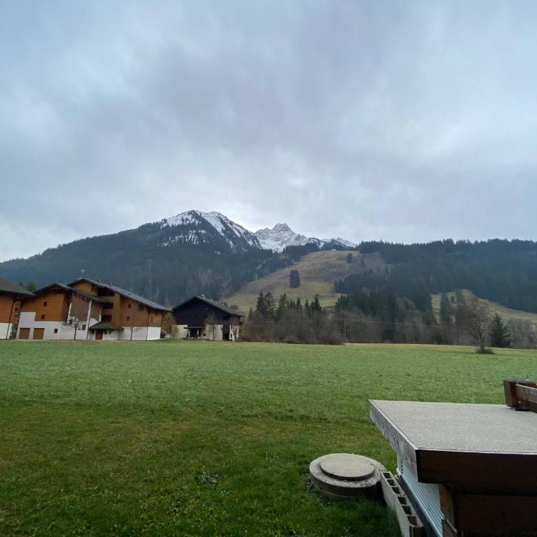 Studio confortable près des pistes avec parking - Studio - 10