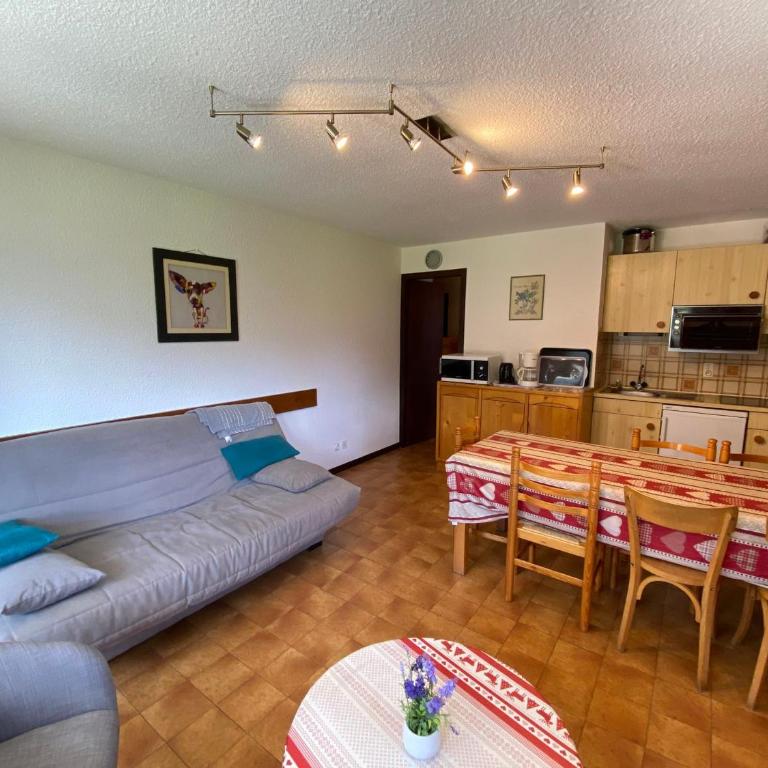 Charmant appartement au centre village, parking et animaux admis - Appartement 1 Chambre - 5