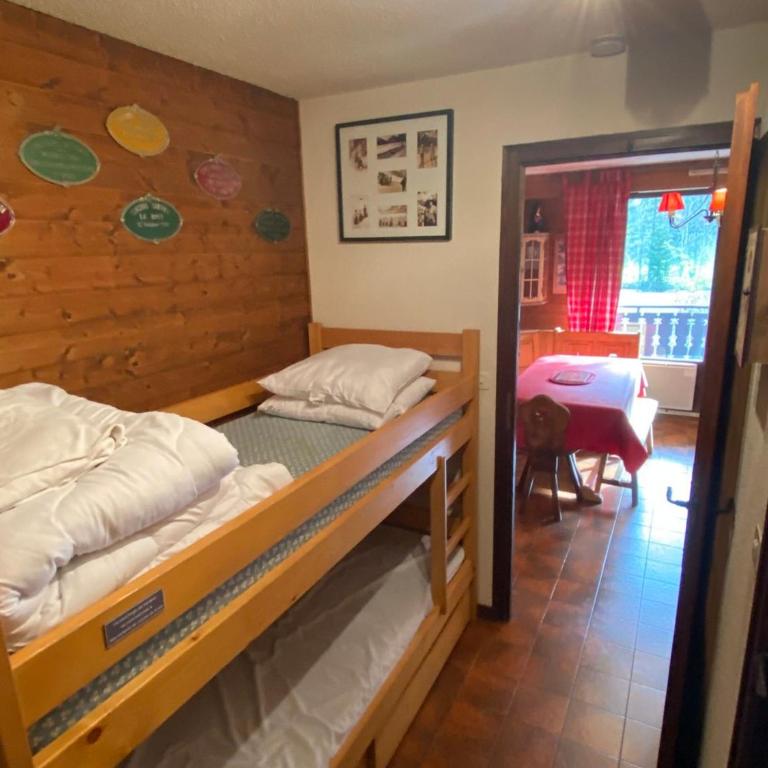 Appartement familial proche des pistes avec animaux admis - Appartement 1 Chambre - 5