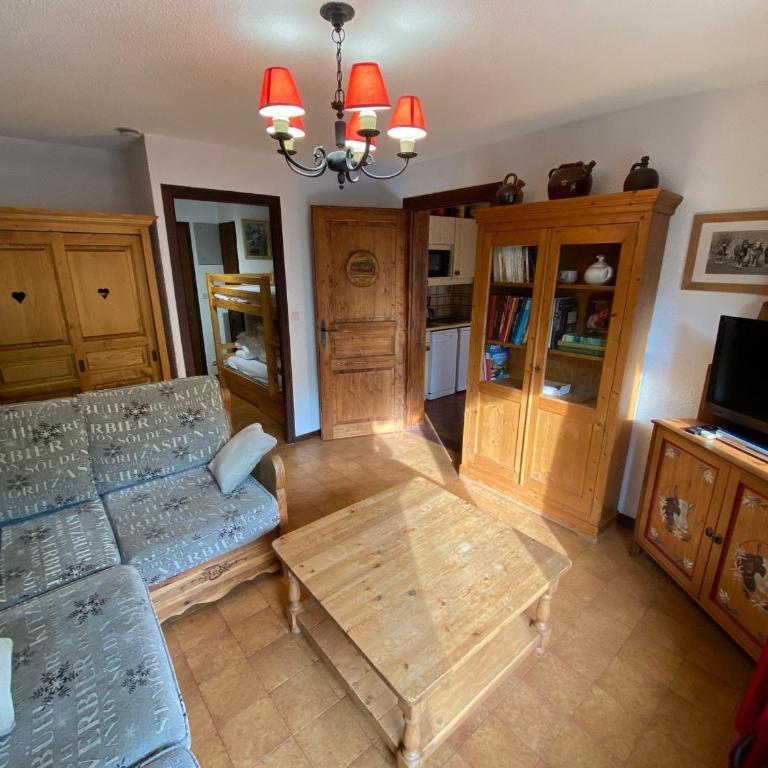 Appartement familial proche des pistes avec animaux admis - Appartement 1 Chambre - 8