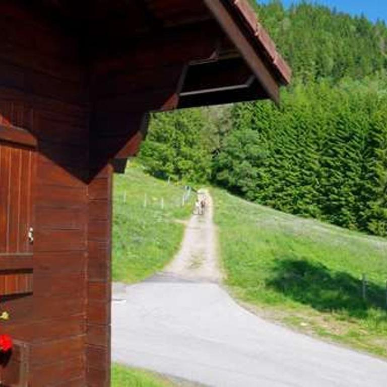 Chalet familial à La Bresse, proche randonnées, WIFI, animaux admis - FR-1-589-425 - Ferienhaus - 3
