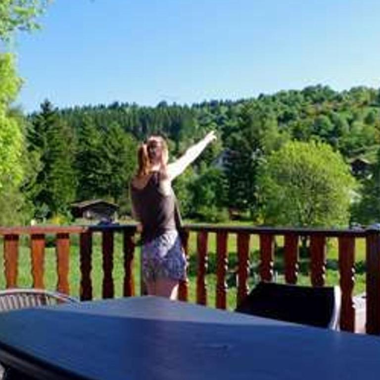 Chalet familial à La Bresse, proche randonnées, WIFI, animaux admis - FR-1-589-425 - Ferienhaus - 4
