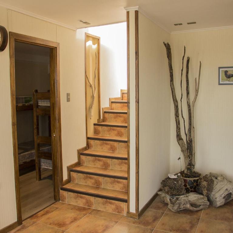 Hostel Entre Vientos - Habitación Cuádruple con baño compartido - 4