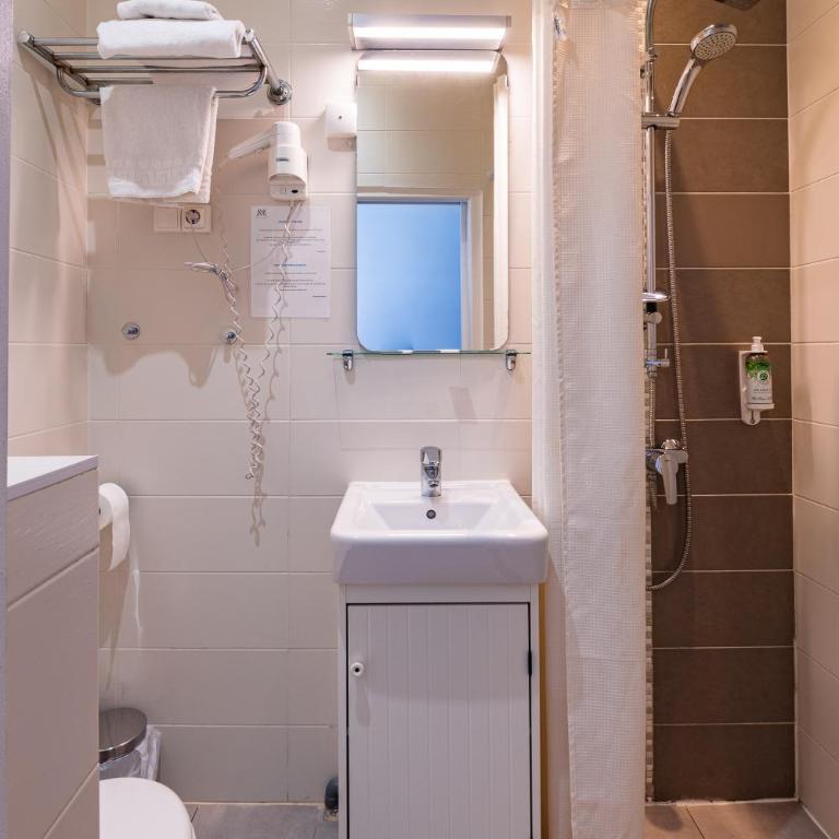 Hôtel Le Mondon Metz - Chambre Simple Classique avec Douche - 6
