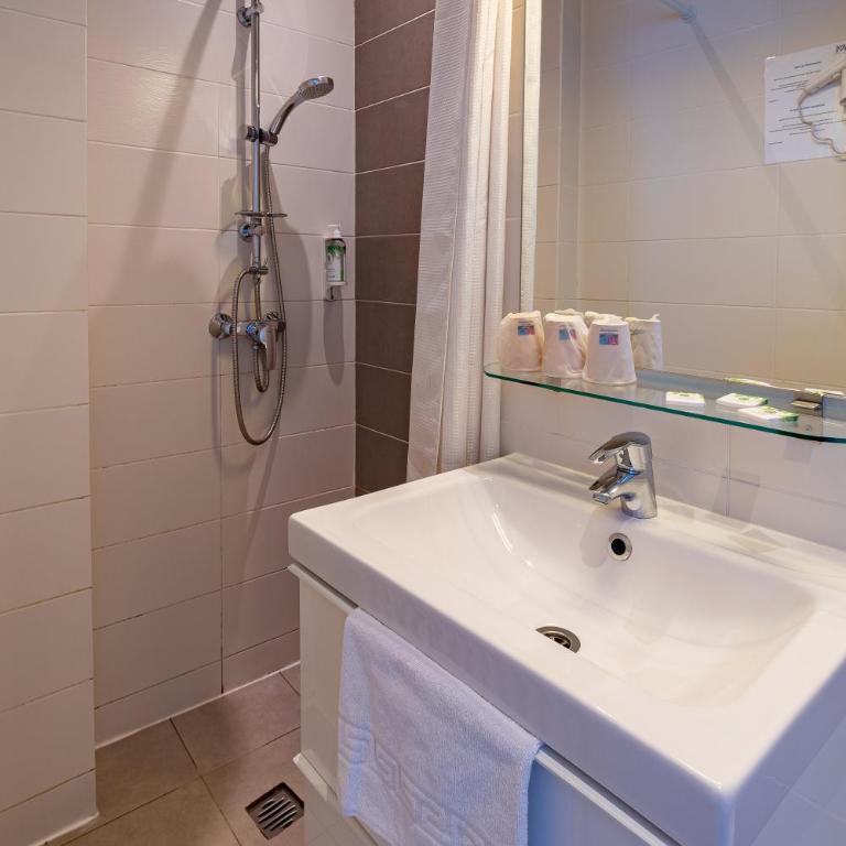 Hôtel Le Mondon Metz - Chambre Simple Classique avec Douche - 7