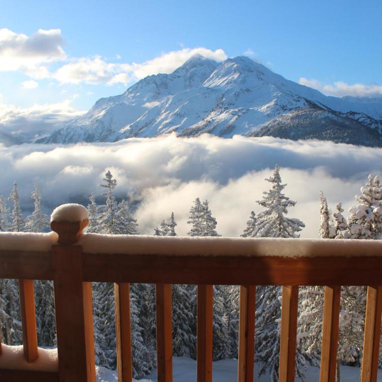 Appartement Chalet CASSIOPEE sous charpente avec cheminée - La Rosière - Apartment - 62