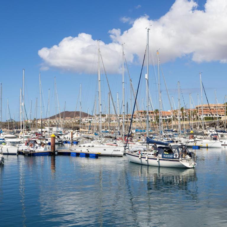 Albatros 234 Holiday Home in Tenerife South - Apartamento de 1 dormitorio - 37
