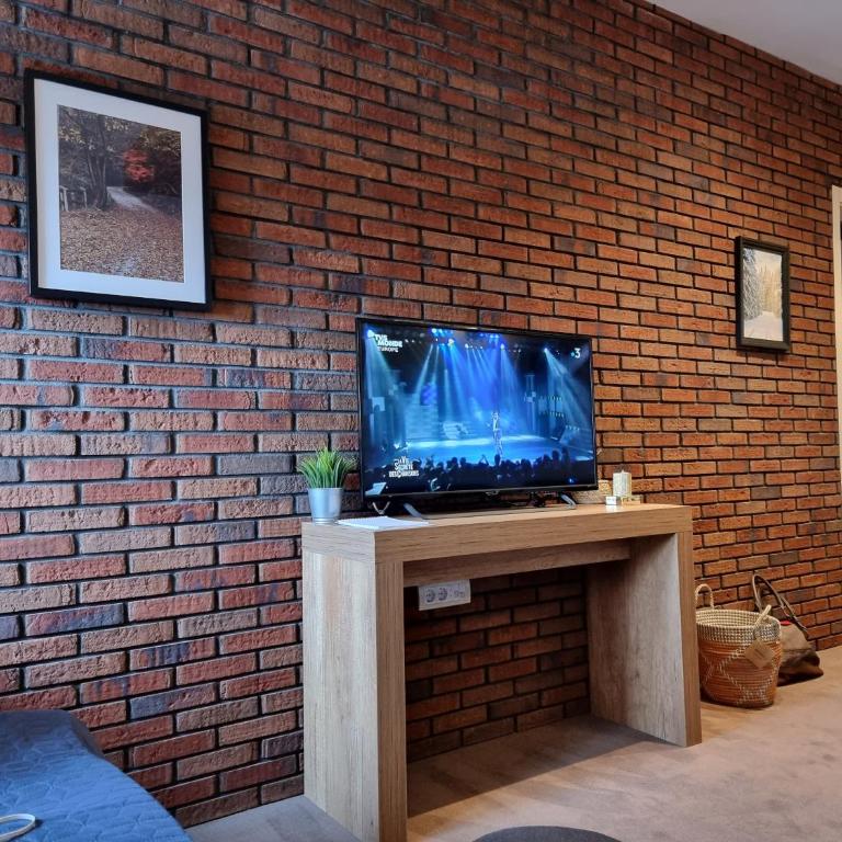 BB Apartment 301, Župa Apartments - One-Bedroom Apartment - 41