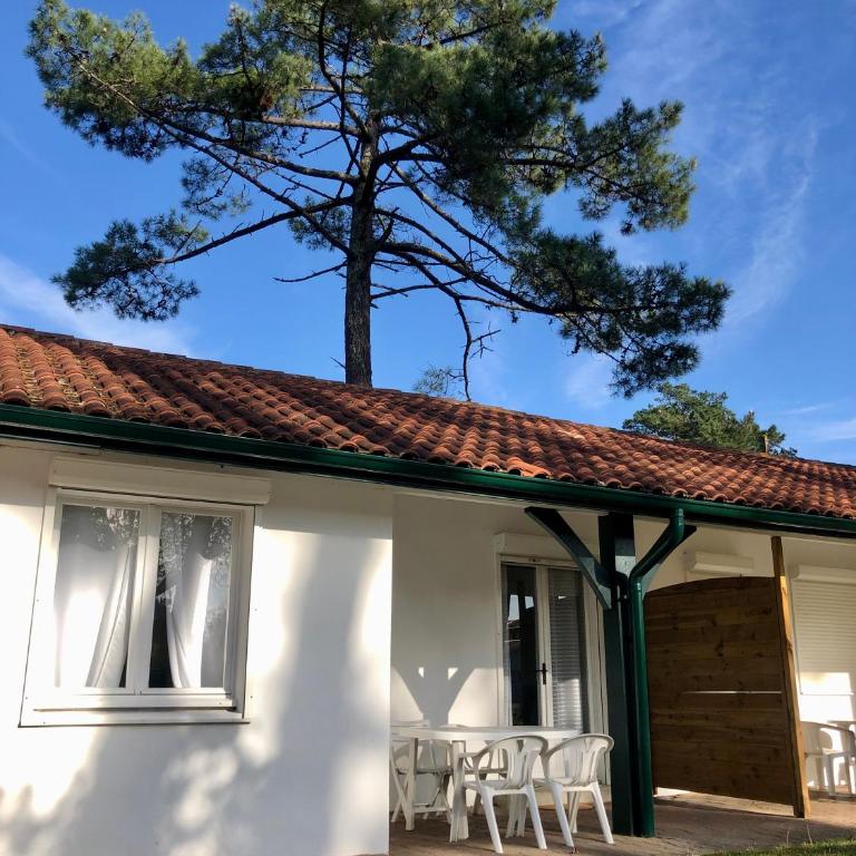 Les Pastourelles - Appartement 1 Chambre - Vue sur Jardin - 12