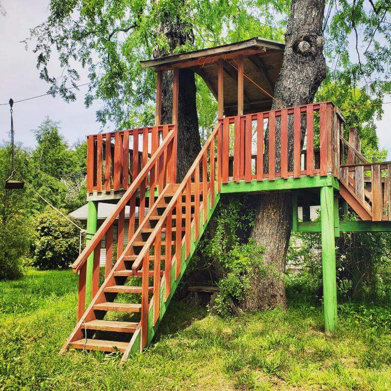 La Casa del Árbol Villarrica Cabañas-Piscina-Tinajas - Casa de 2 dormitorios - 18
