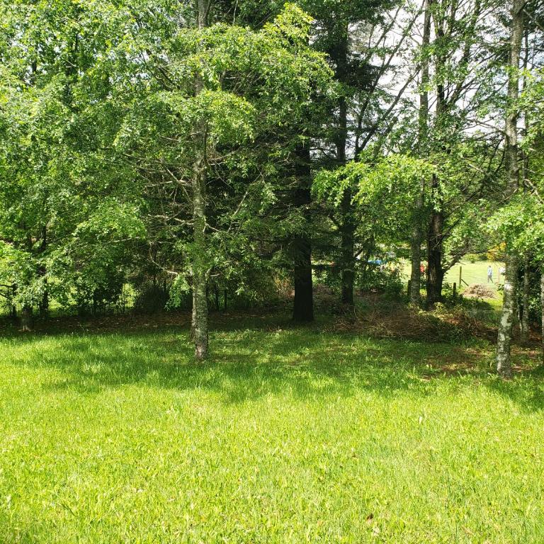 La Casa del Árbol Villarrica Cabañas-Piscina-Tinajas - Casa de 2 dormitorios - 59