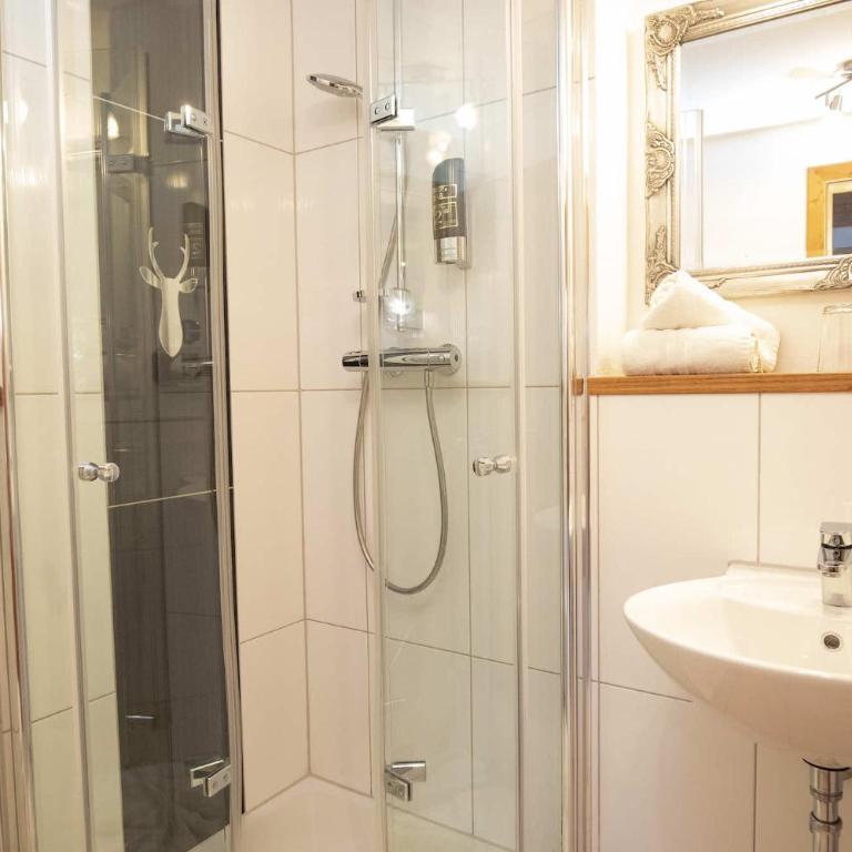 Hotel-Gasthof Der Wiesengrund - Deluxe Apartment - 2