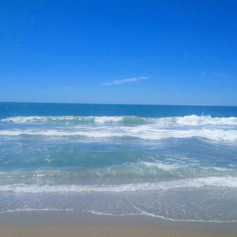 ap frente mar Península Punta Del Este - Apartamento con vistas al mar - 100