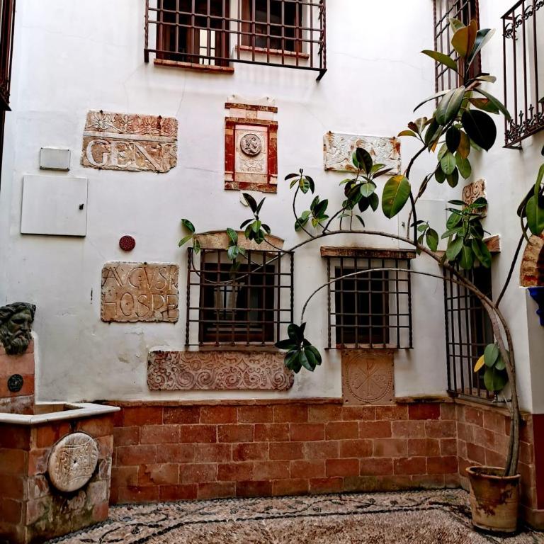 Córdoba Selection 2 dormitorios - Apartamento de 2 dormitorios - 12