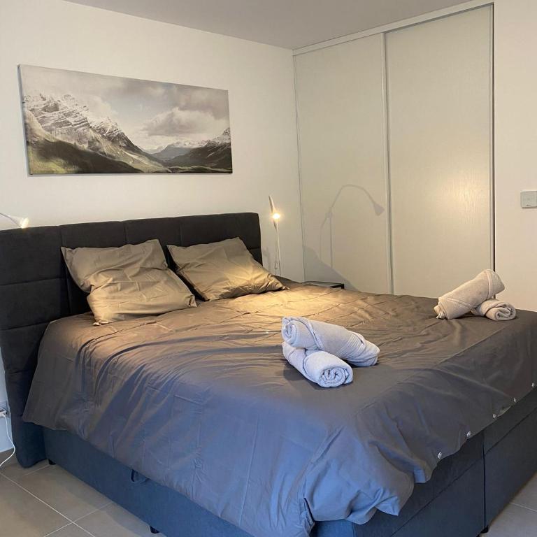 Monaco Grand Prix Nouveau - Appartement 1 Chambre - 4