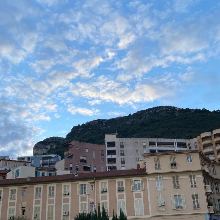 Monaco Grand Prix Nouveau - Appartement 1 Chambre - 10