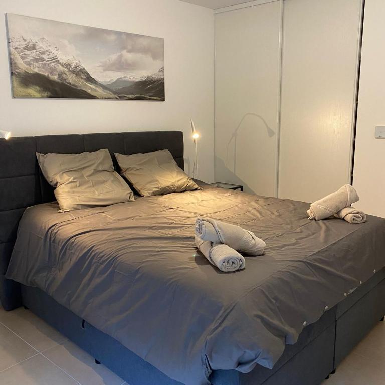 Monaco Grand Prix Nouveau - Appartement 1 Chambre - 11