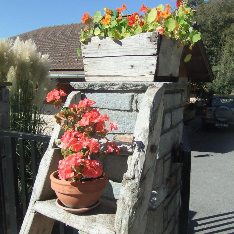 Gîte Les Grands Champs - Appartement 2 Chambres - 49