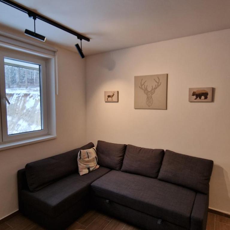 Xenia Apartment - Apartman sa 1 Spavaćom Sobom - 8