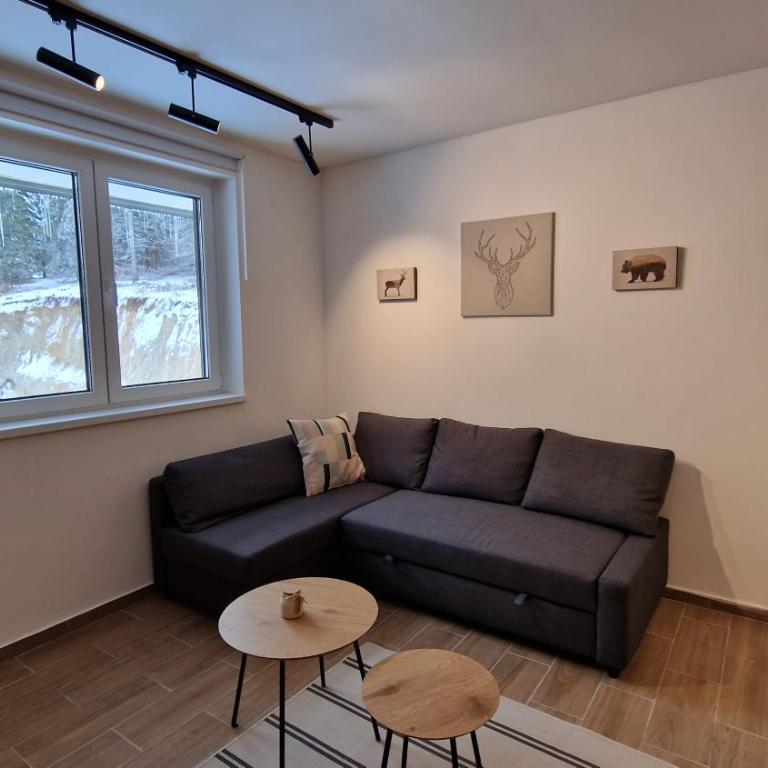 Xenia Apartment - Apartman sa 1 Spavaćom Sobom - 11