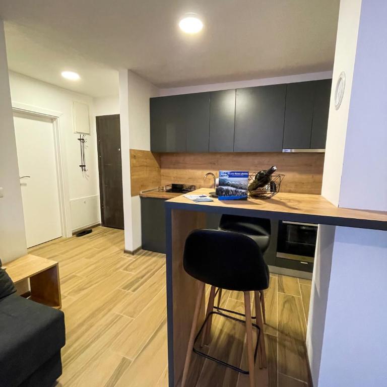 Ravna Planina - One-Bedroom Apartment - 2