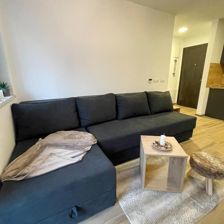 Ravna Planina - One-Bedroom Apartment - 3