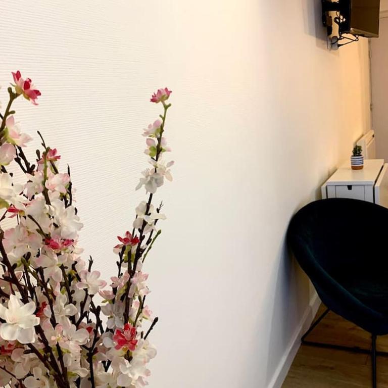 Studio cosy en plein centre historique de Rennes - Apartment mit 1 Schlafzimmer - 3