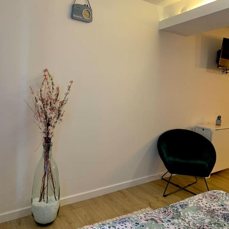 Studio cosy en plein centre historique de Rennes - Apartment mit 1 Schlafzimmer - 23