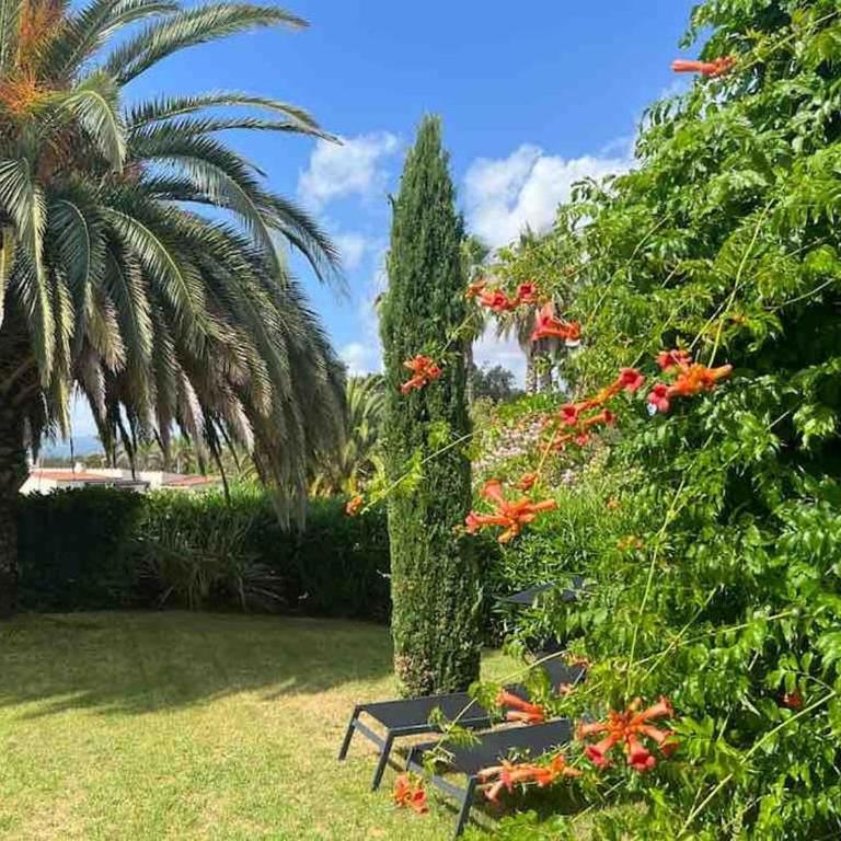 Magnifique villa vue mer avec piscine et plage privée - Villa - 21