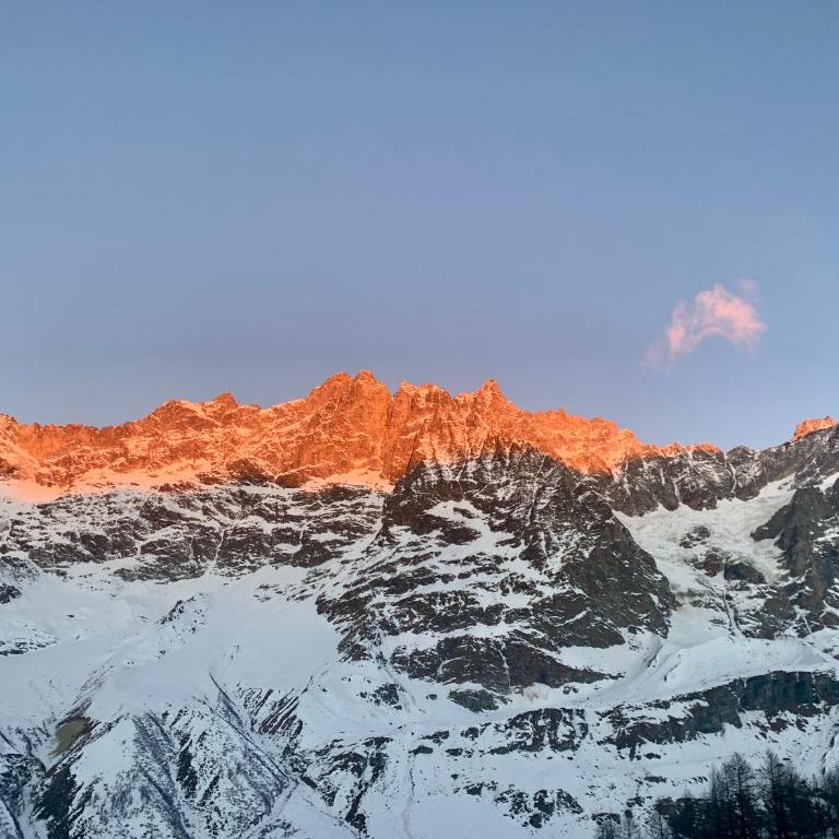 Cervinia Ski In Ski Out - Family Studio - Monolocale Familiare - 15