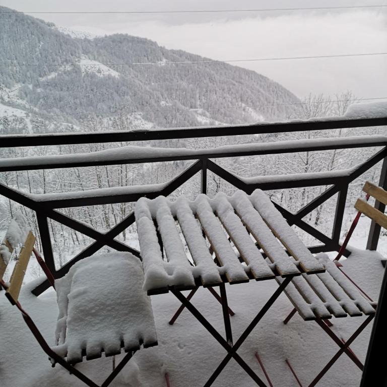 Topview Kopaonik-Dvori E15 - Apartment with Mountain View - 7