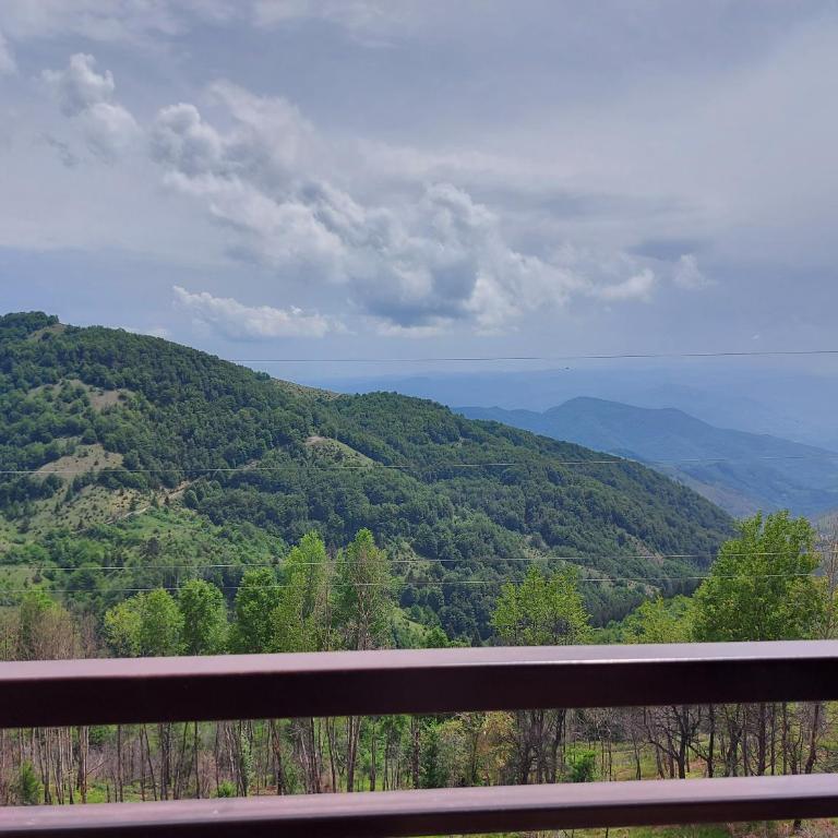 Topview Kopaonik-Dvori E15 - Apartment with Mountain View - 18