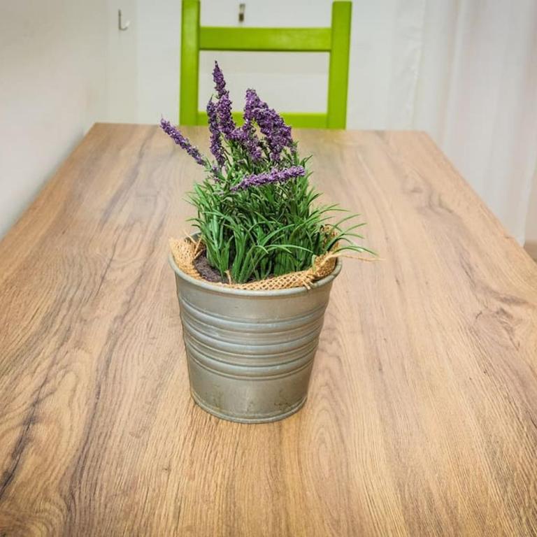 Raphi's Flat in Trastevere - the heart of Rome - Appartamento con 1 Camera da Letto - 6