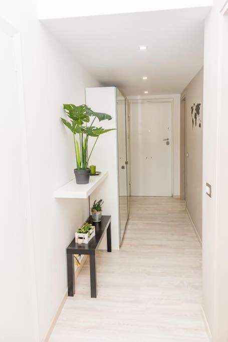 Raphi's Flat in Trastevere - the heart of Rome - Appartamento con 1 Camera da Letto - 14
