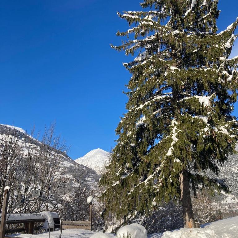 Le Chalet des Eulets - Appartement - Vue sur Jardin - 46