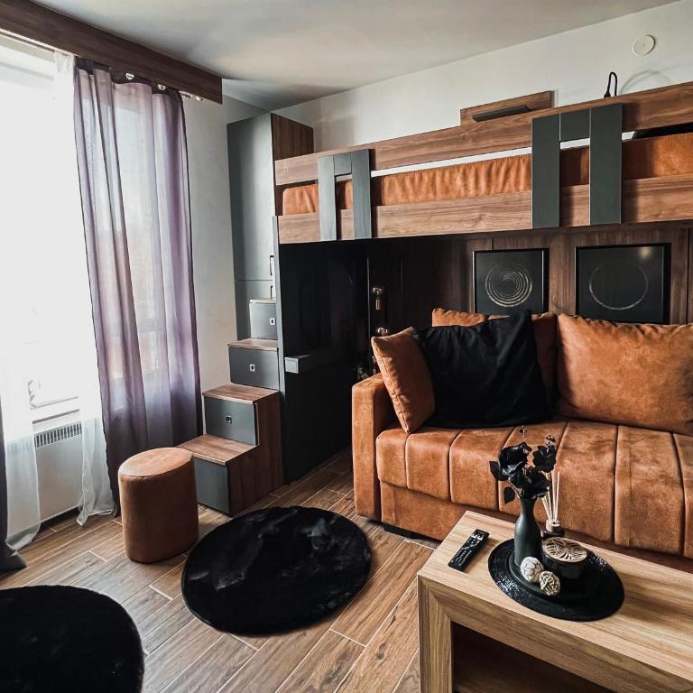 MIR i LIRA apartmani Kopaonik - Deluxe Studio - 14