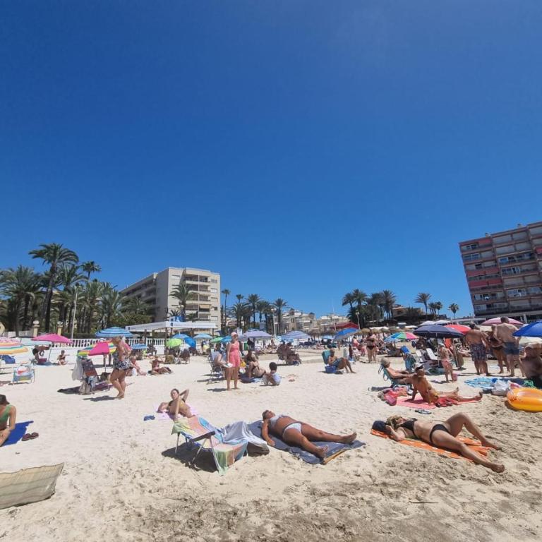 Apartament Torrevieja Playa Los Locos - Apartamento de 2 dormitorios - 53
