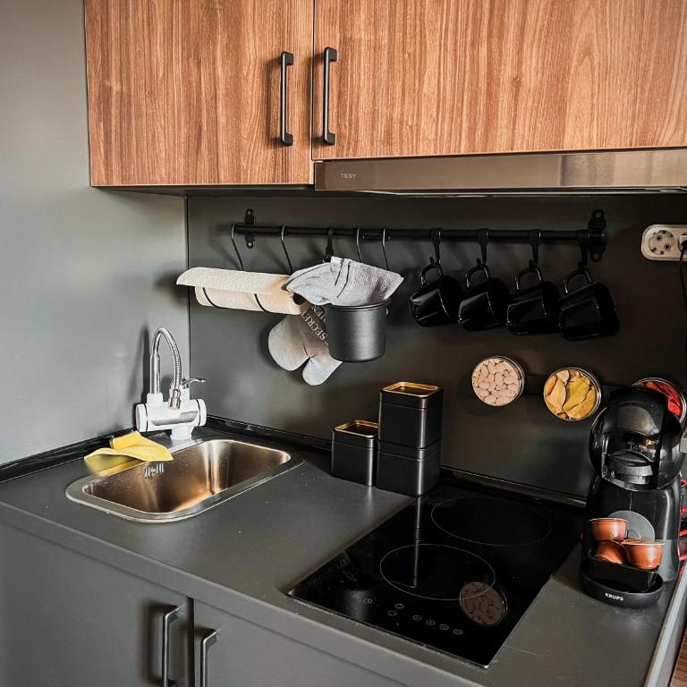 MIR i LIRA apartmani Kopaonik - Deluxe Studio - 29