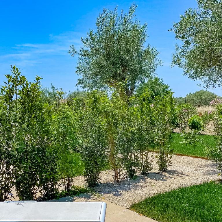 Dimora Calauriia - Adults Only - Camera Matrimoniale Standard - 5