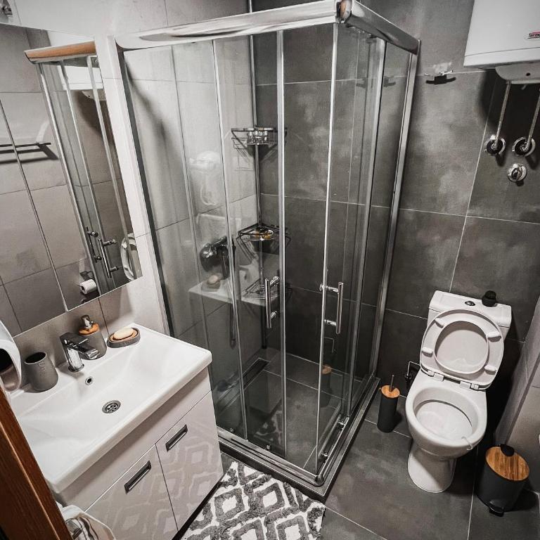 MIR i LIRA apartmani Kopaonik - Deluxe Studio - 4