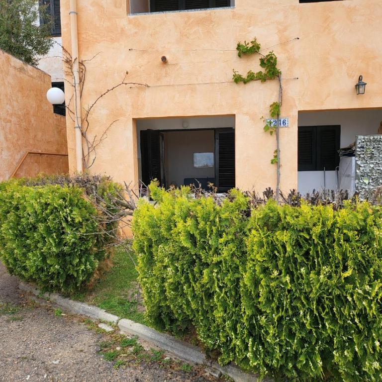 Villetta Sunrise Colibrì - One-Bedroom House - 25