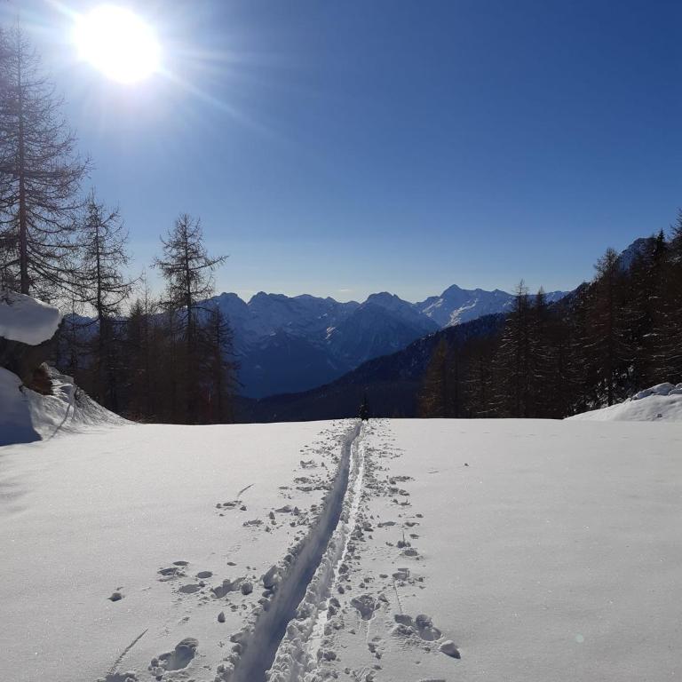 Maison Meynet Mountain Charm - Appartamento Monolocale - 20
